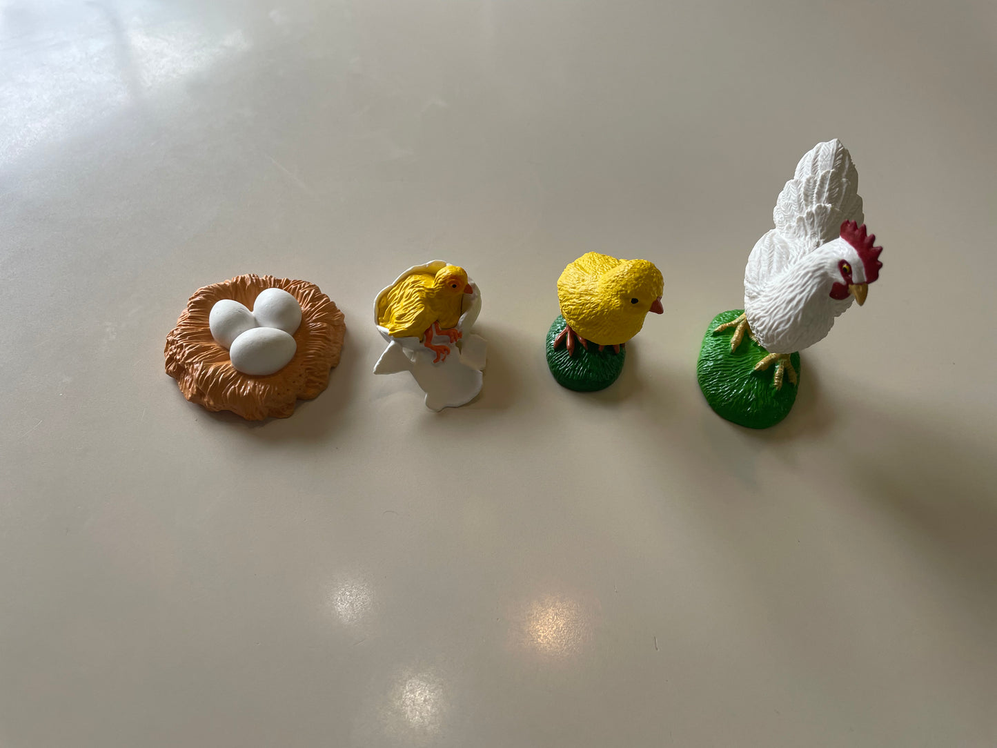 MM-128 Life Cycles of Living Creatures Series