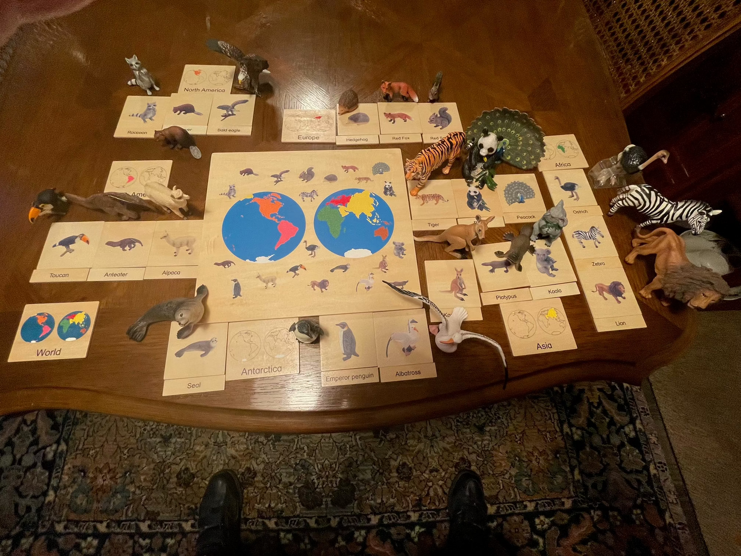 MM-122 Animal Continent Box